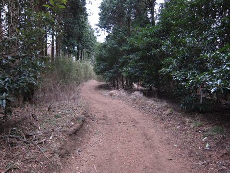 20190214hike (264)